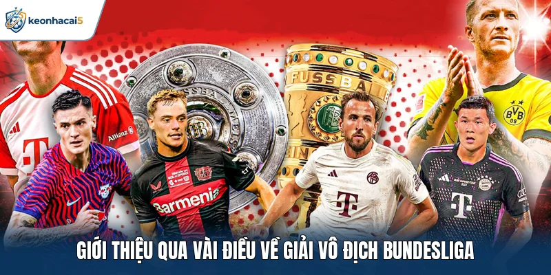 Bundesliga - Cuộc Đua Vô Địch Nước Đức Đầy Gay Cấn 1 Giới thiệu qua vài điều về giải vô địch Bundesliga
