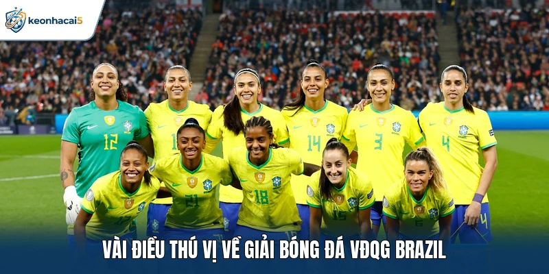 VĐQG Brazil: Khám Phá Cục Diện Và Những Bước Ngoặt 1 Vài điều thú vị về giải bóng đá VĐQG Brazil